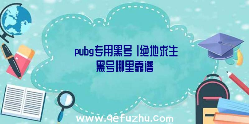 「pubg专用黑号」|绝地求生黑号哪里靠谱